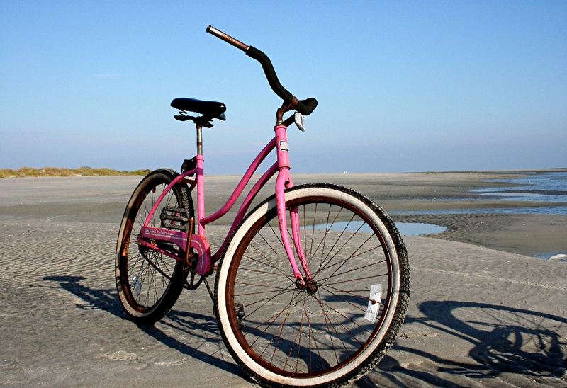 Beach Cruiser