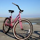 Beach Cruiser