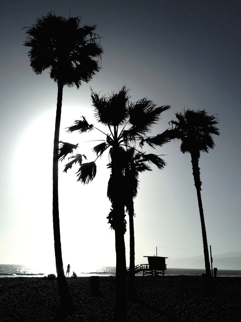 beach day