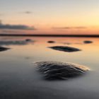 Beach Details 