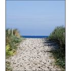 ... Beach Dreams # 2 ...