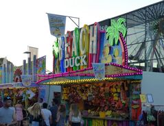 BEACH DUCK