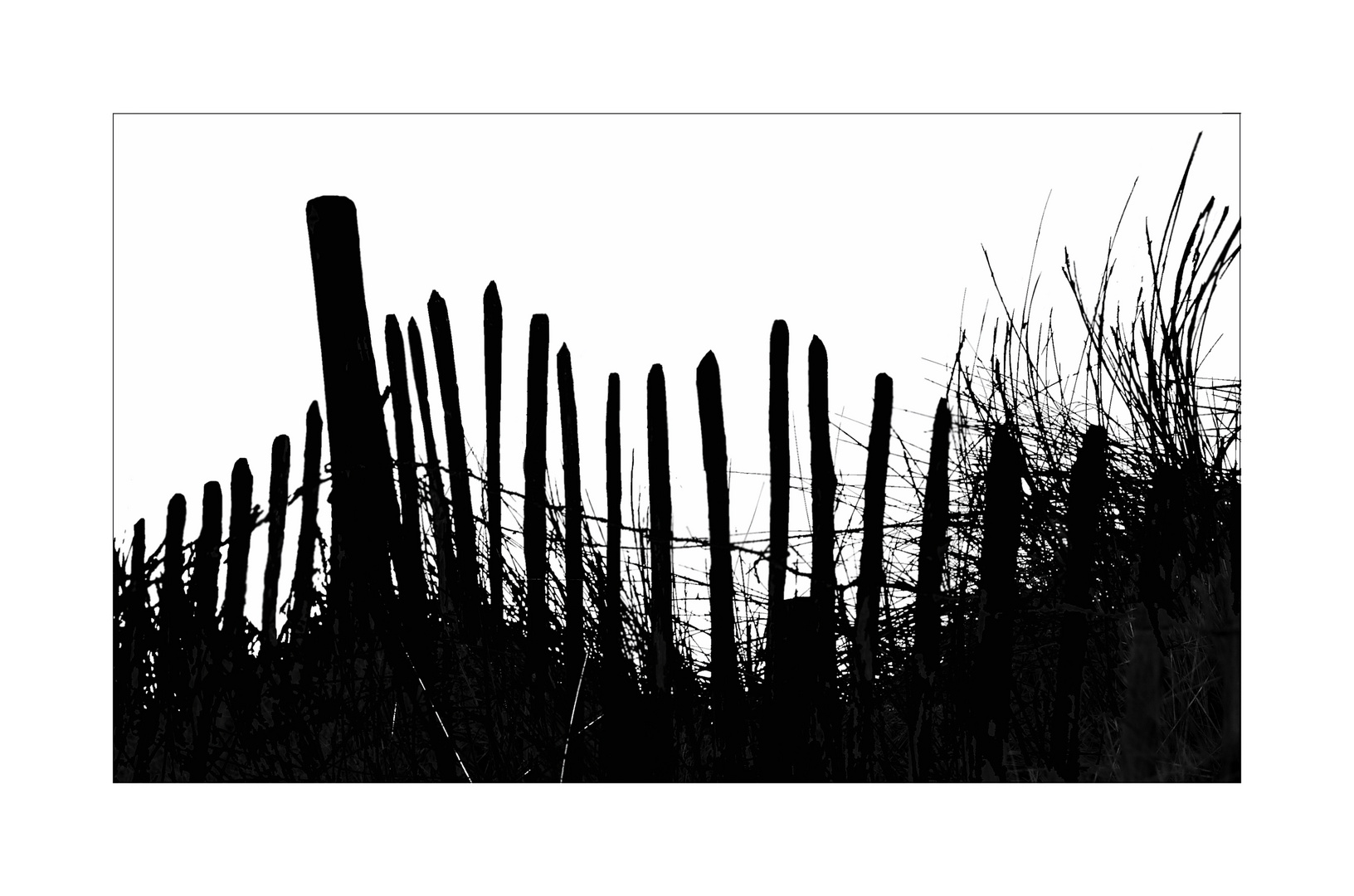 Beach fence