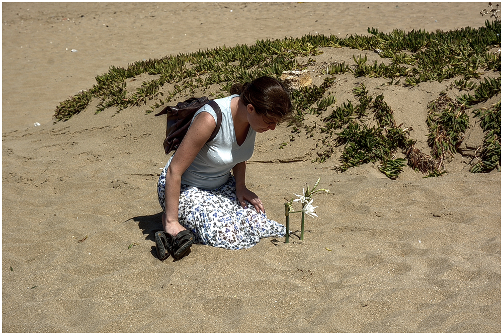 Beach-Flower