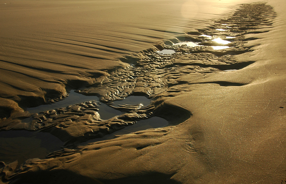 Beach Fractal