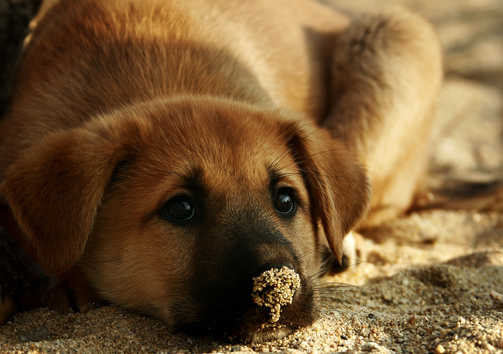 beach friend...