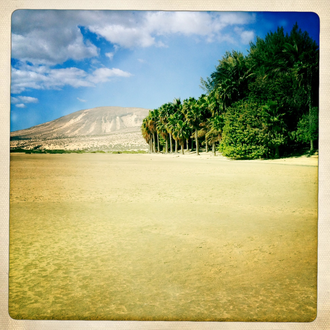 Beach Fuerte Foto & Bild europe, canary islands die kanaren, spain