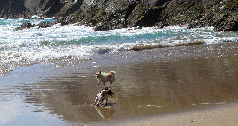 beach fun