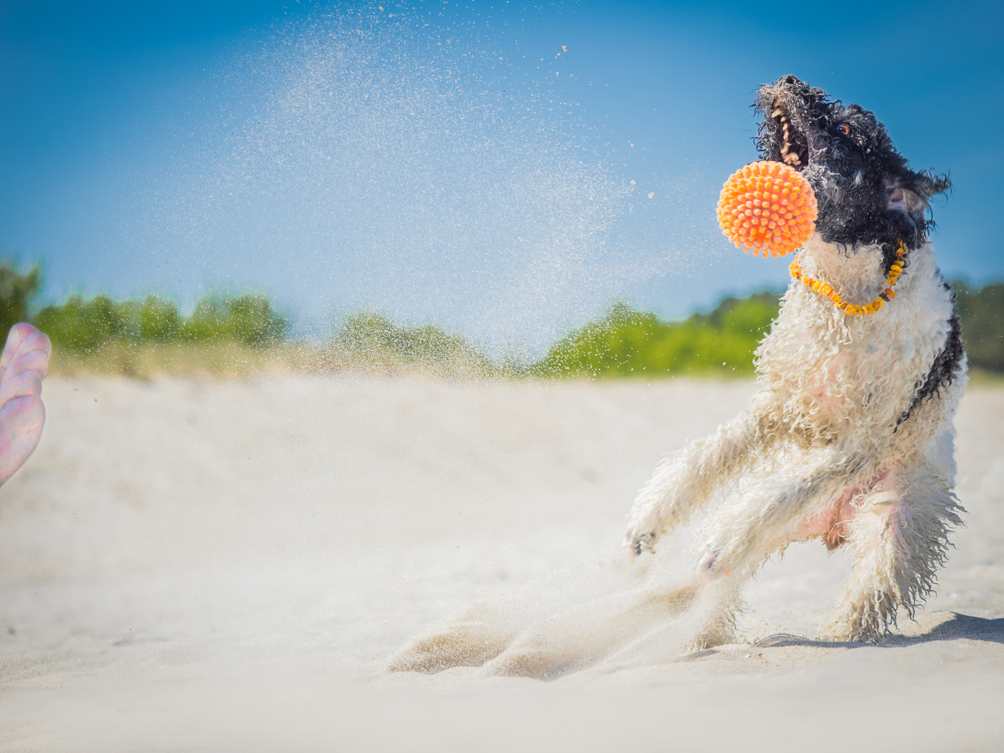 beach-fun