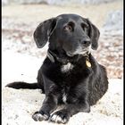 beach girl