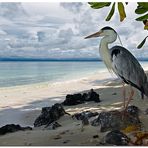 beach guard