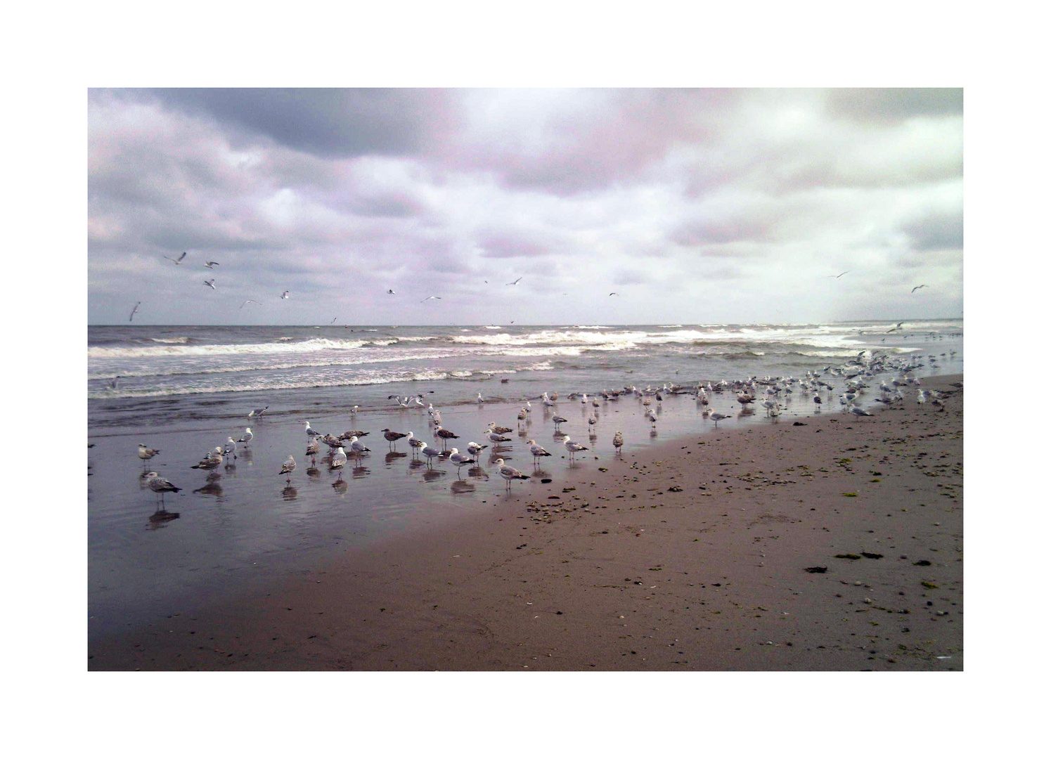 Beach (Hoek van Holland)