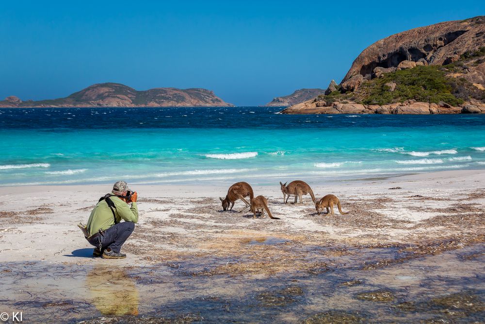 Beach holidays