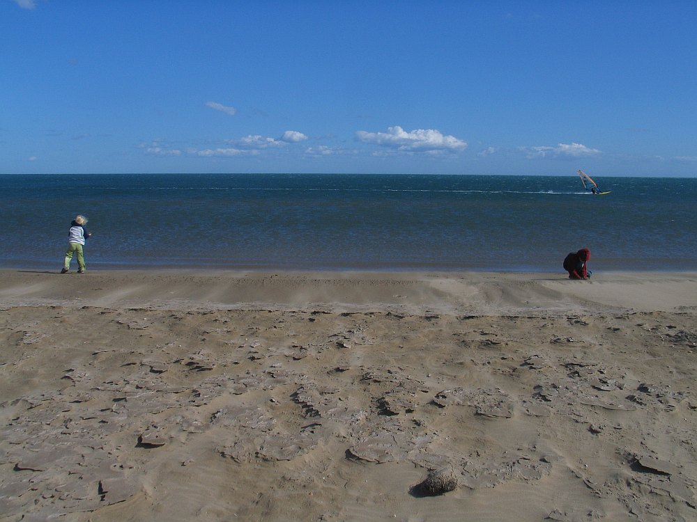 Beach Horizontals