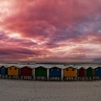 Beach Houses