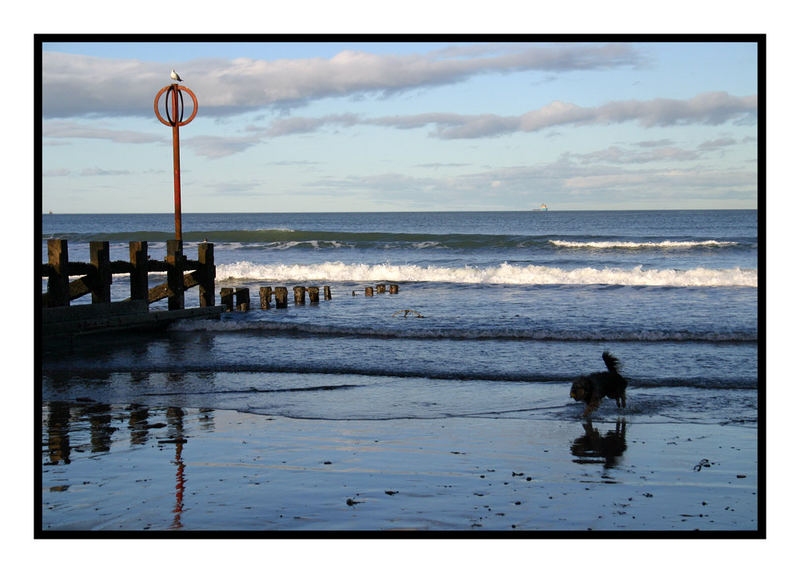 Beach in Aberdeen