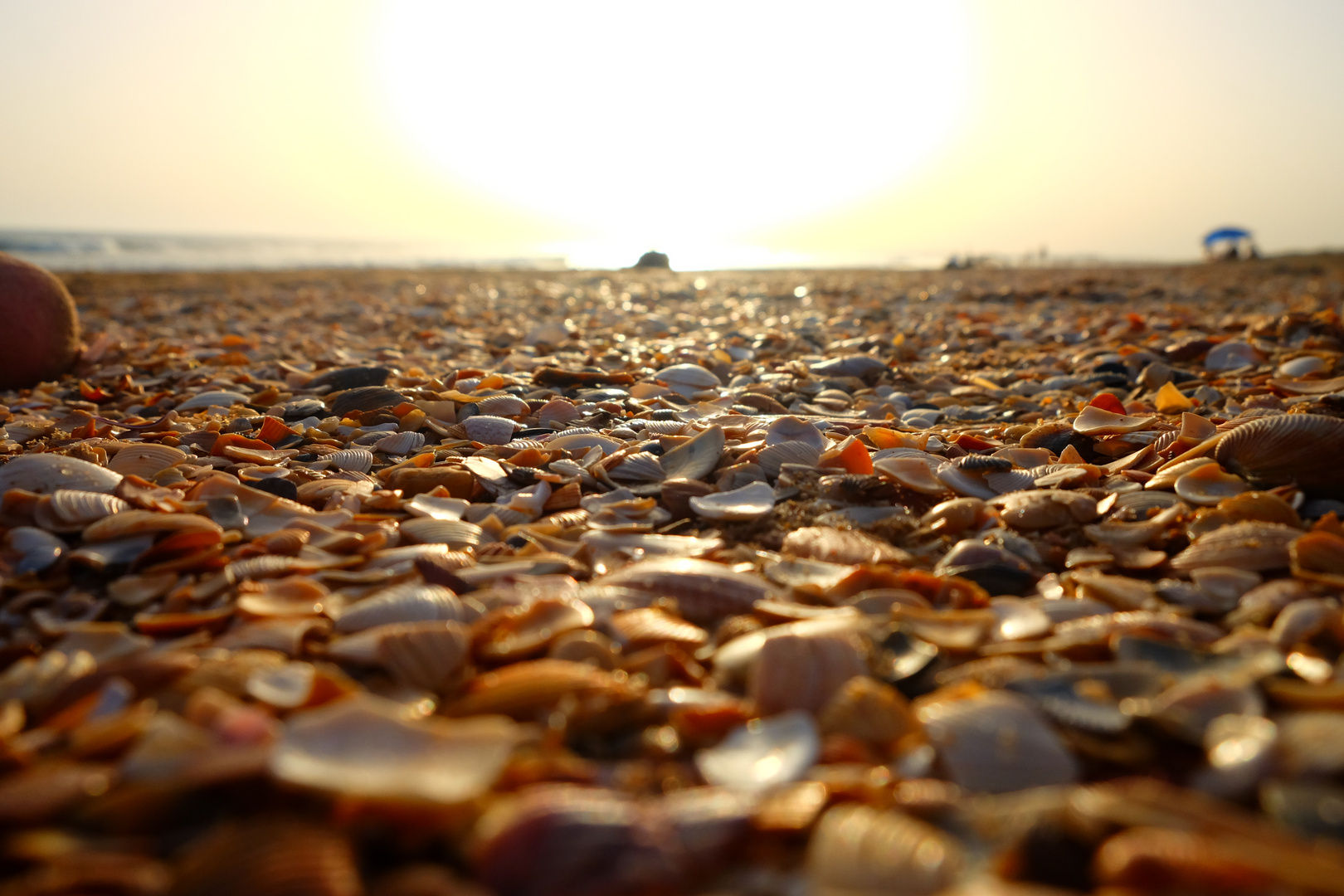 Beach in Andalusia, Spain