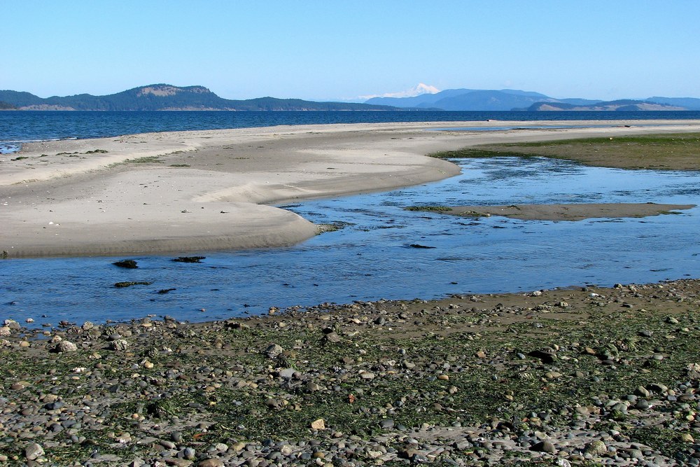 Beach in British Columbia