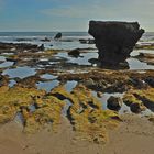 Beach in Canggu