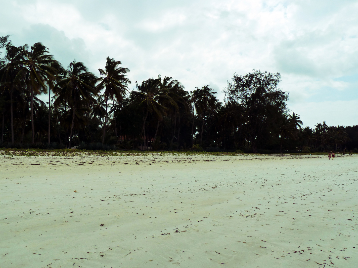 Beach in Mombasa