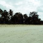 Beach in Mombasa