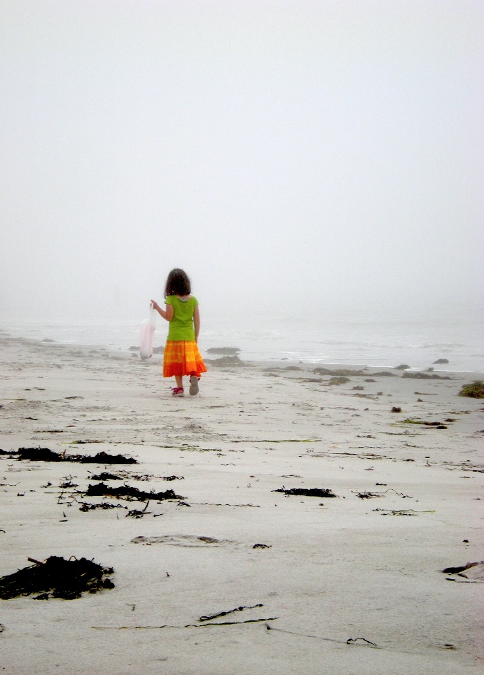 Beach in morning fog