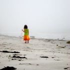 Beach in morning fog