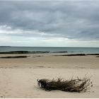 Beach in Northumberland