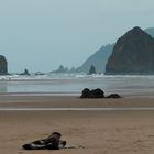 Beach in Oregon