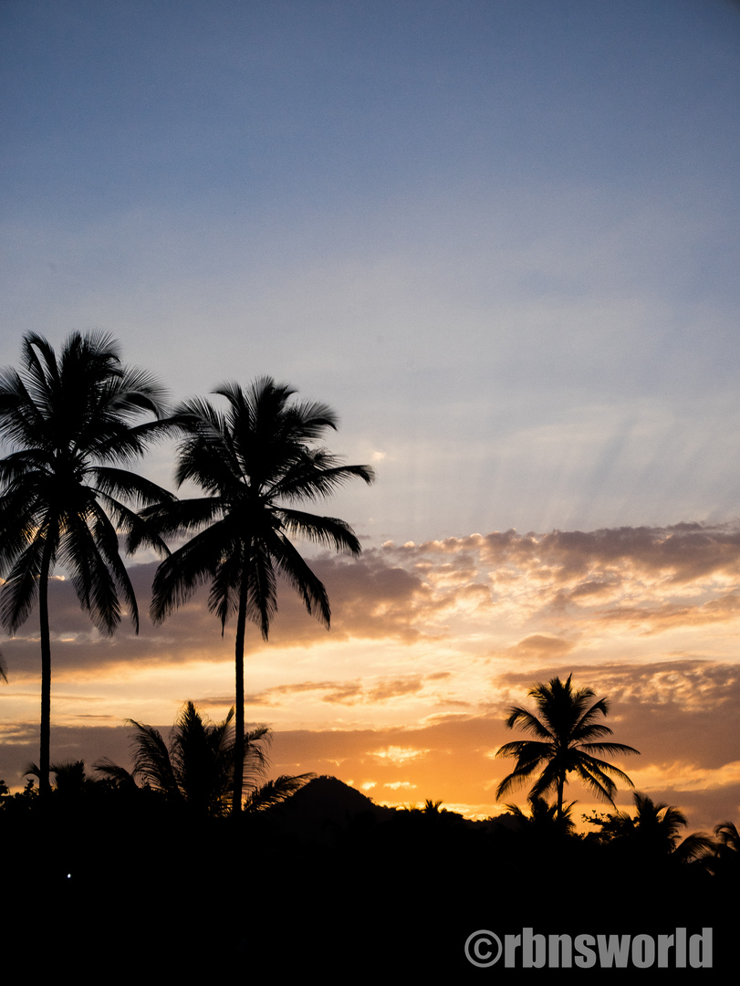 Beach in Palomino - Sunset