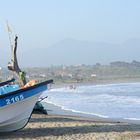 Beach in winter