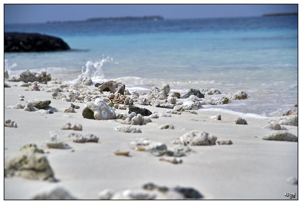 Beach - Kuramathi Island/Maledives