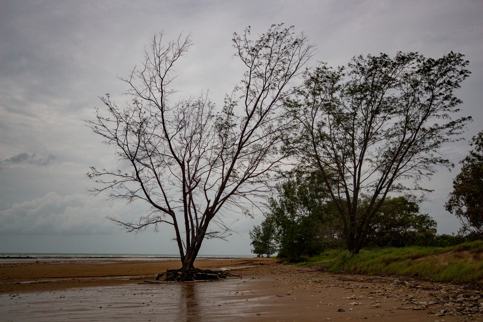 Beach @ Lee Point