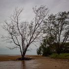 Beach @ Lee Point