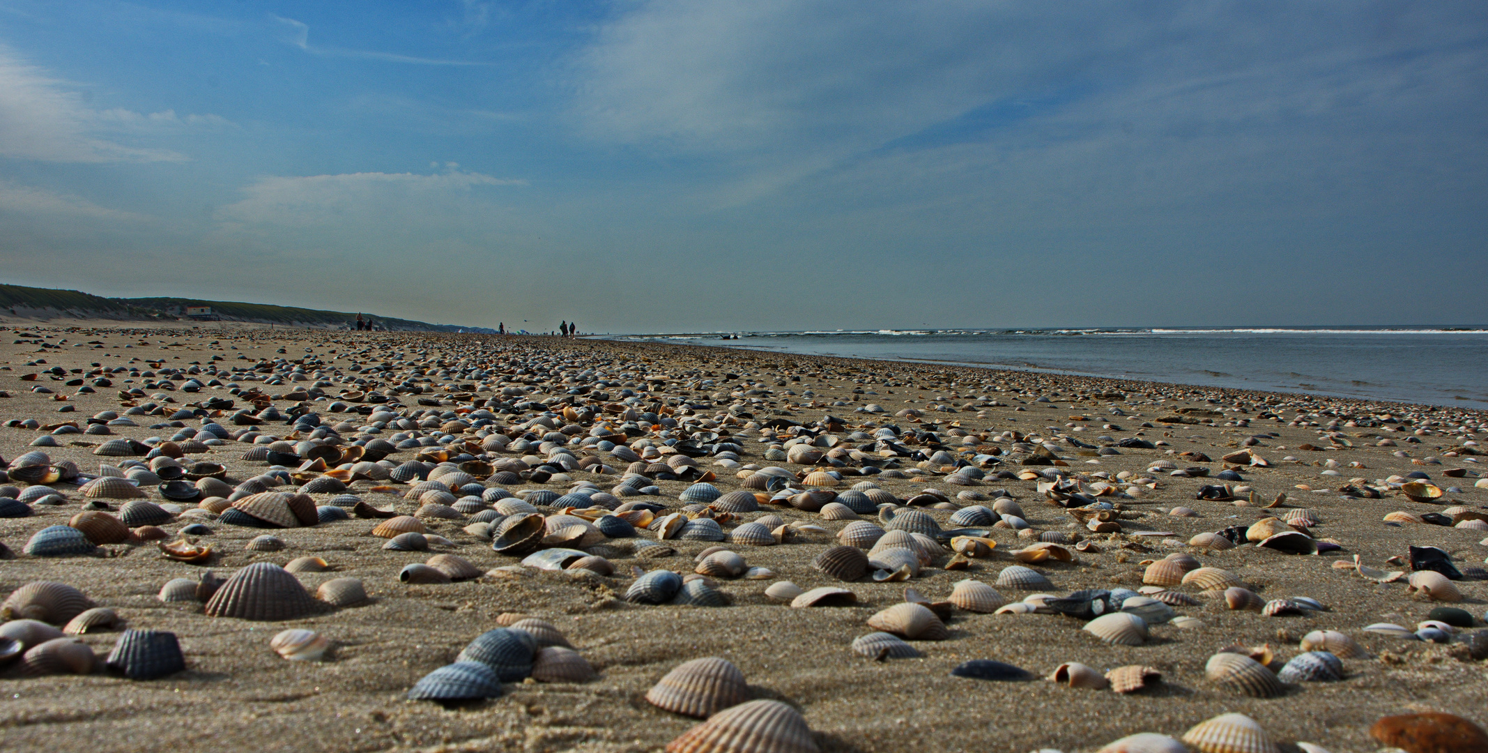 Beach Life