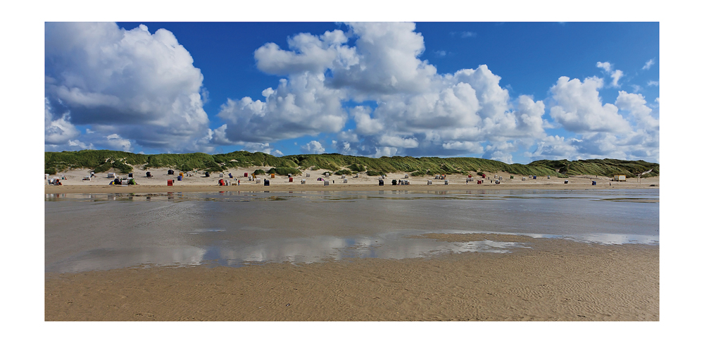 ~~~ beach life ~~~