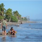 ~ Beach-Life ~