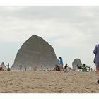 Beach Life in Oregon