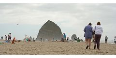 Beach Life in Oregon