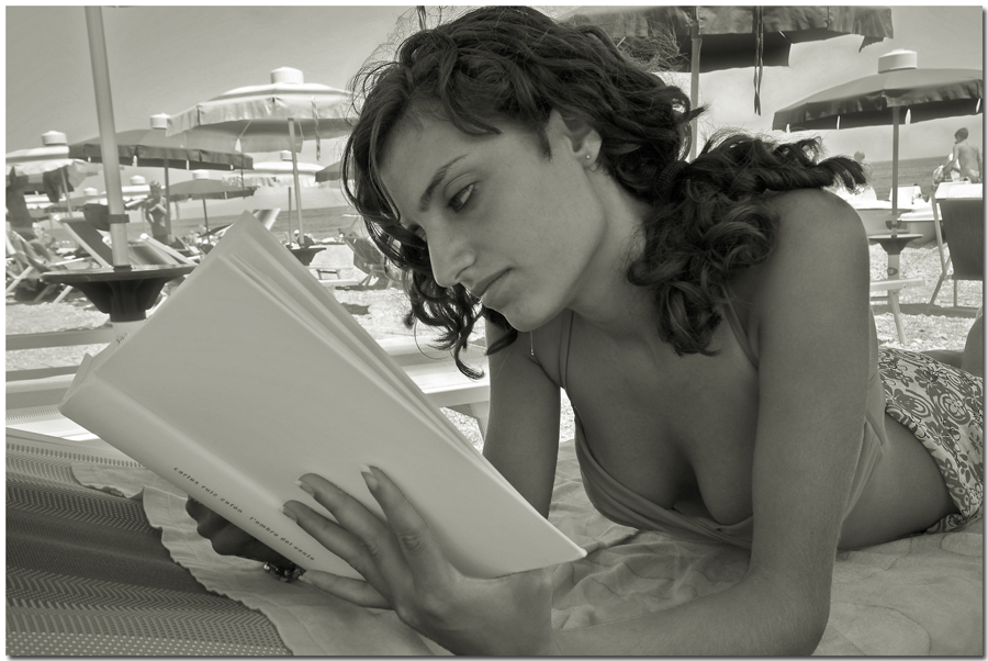 beach loves book