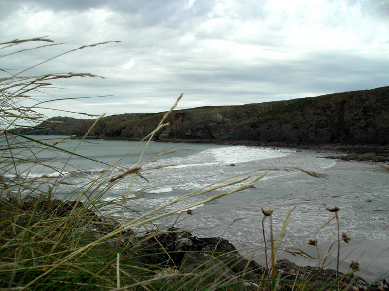 Beach near St. David's