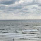 Beach of Bergen aan Zee, Holland