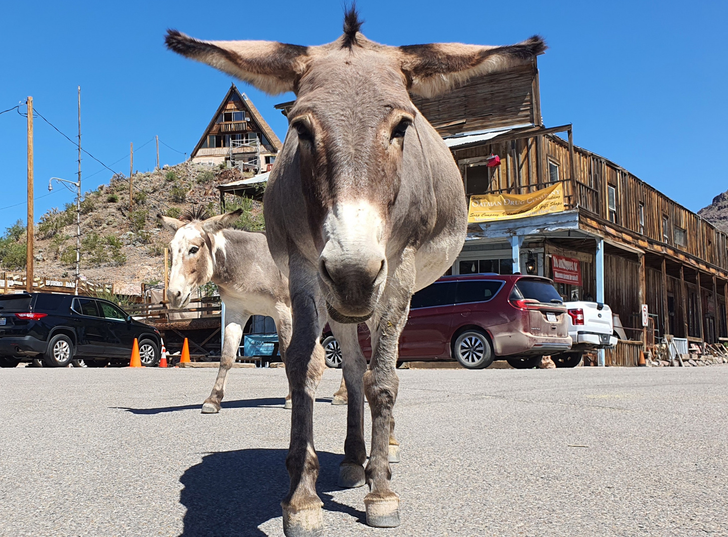 BEACH OF BURROS