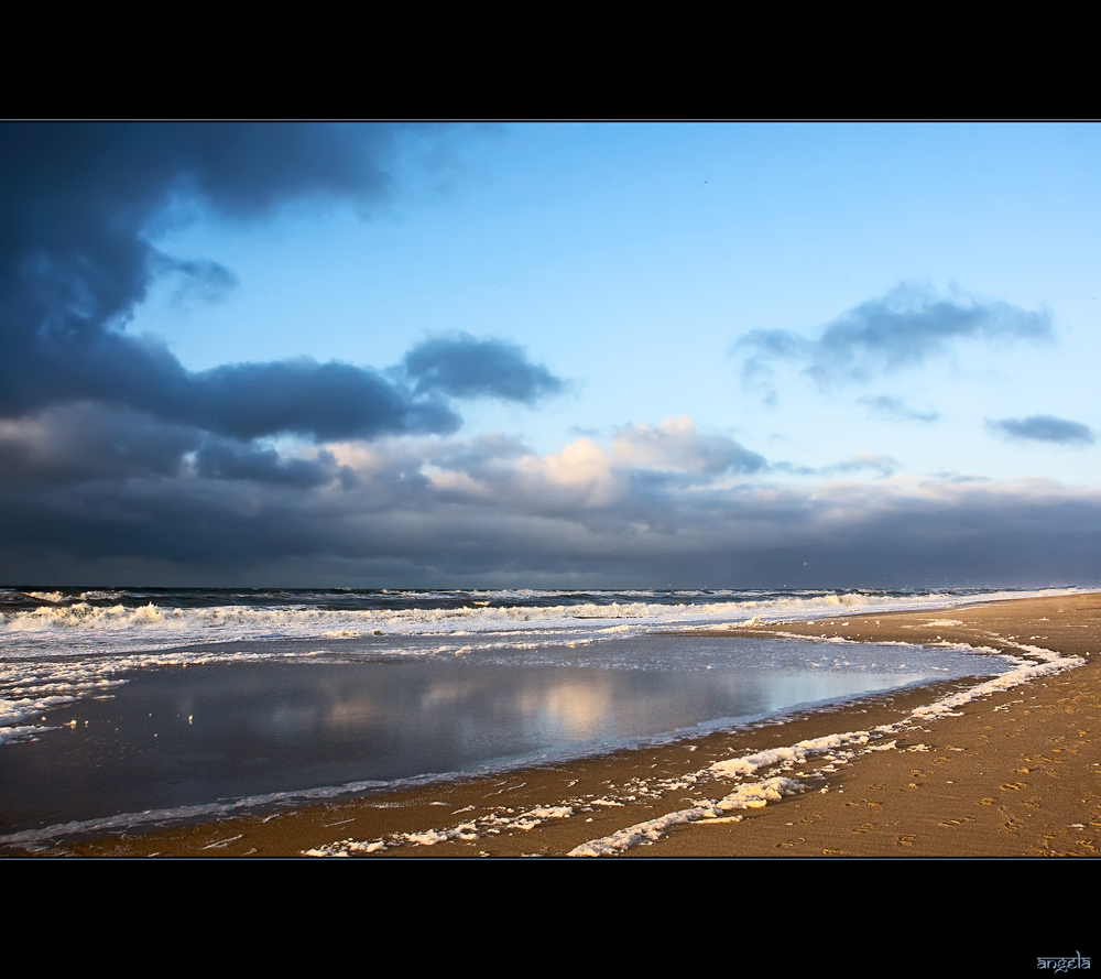 Beach of Gold