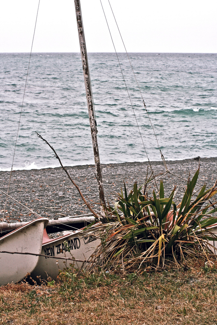 beach of kaikoura