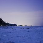 beach of longboat key