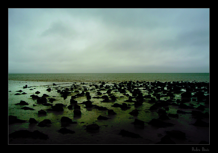 Beach of stones