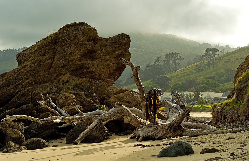 Beach of Stories