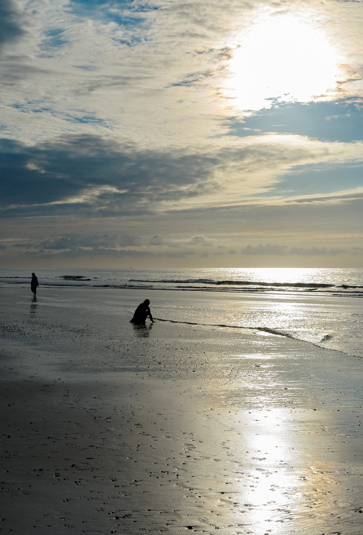 Beach of Texel