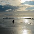 Beach of Texel